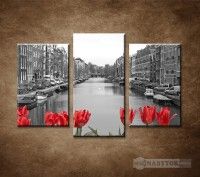 OBRAZ 3 DIELNY TULIPNY V AMSTERDAME 75X50CM