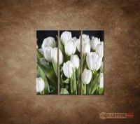 OBRAZ 3 DIELNY BIELE TULIPNY 90X90