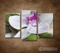 OBRAZ 3 DIELNY ORCHIDEA S BAMBUSOM 75X50CM