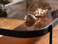 ilustra�n� obr�zok