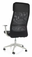 Kancelárske kreslo Q-861R, poťah: látka čierna/sieťovina čierna/podnožka: sivá - ilustračný obrázok Kancelárske kreslo Q-861R, poťah: látka čierna/sieťovina čierna/podnožka: sivá - ilustračný obrázok