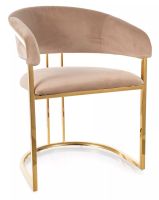 Stolička TULIPE VELVET, poťah: látka BLUVEL 28 bežová/kov - zlatá, ilustračný obrázok Stolička TULIPE VELVET, poťah: látka BLUVEL 28 bežová/kov - zlatá, ilustračný obrázok