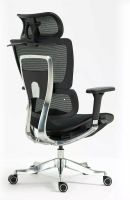 Kancelárske kreslo WINNER LUX, farba: sieťovina čierna/podnožka-chróm - ilustračný obrázok Kancelárske kreslo WINNER LUX, farba: sieťovina čierna/podnožka-chróm - ilustračný obrázok