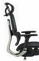 Kancelárske kreslo WINNER LUX, farba: sieťovina čierna/podnožka-chróm - ilustračný obrázok Kancelárske kreslo WINNER LUX, farba: sieťovina čierna/podnožka-chróm - ilustračný obrázok