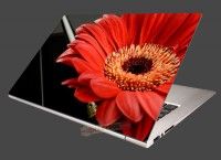 Nlepka na notebook Gerbera